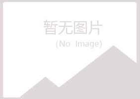 安丘女孩工程有限公司